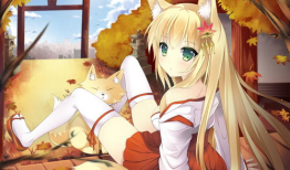 艳美动漫,描绘青春梦想的视觉盛宴